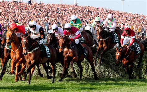 Aintree Racecard: Your ultimate guide to Saturday's 7 races.